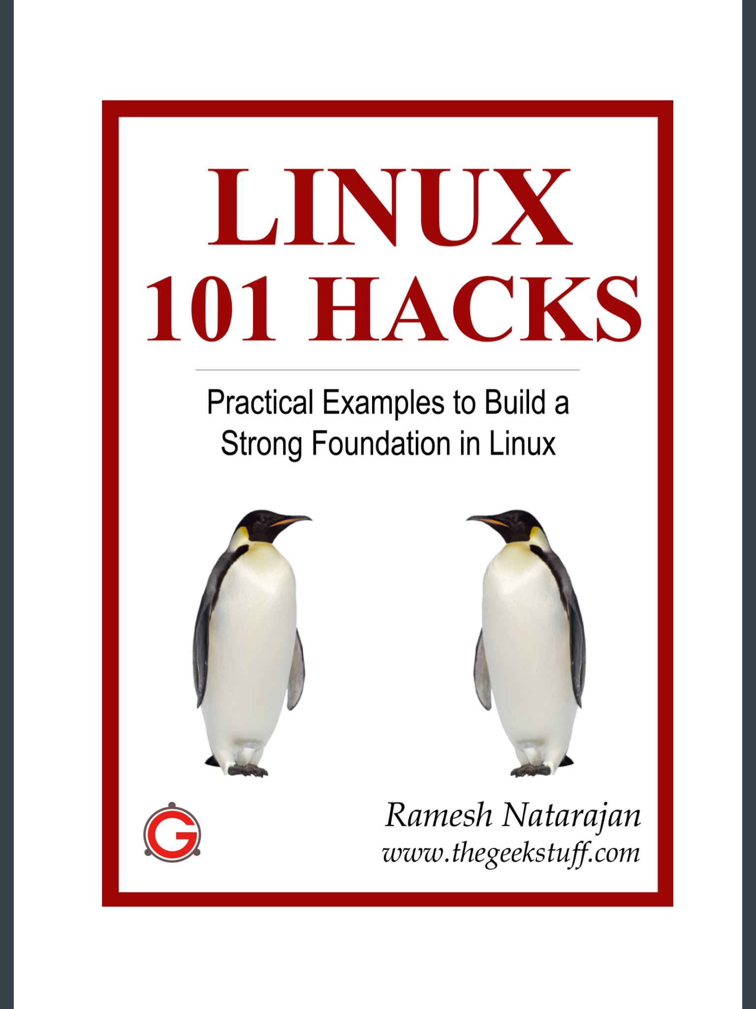 Read more about the article LINUX 101 Hacks
